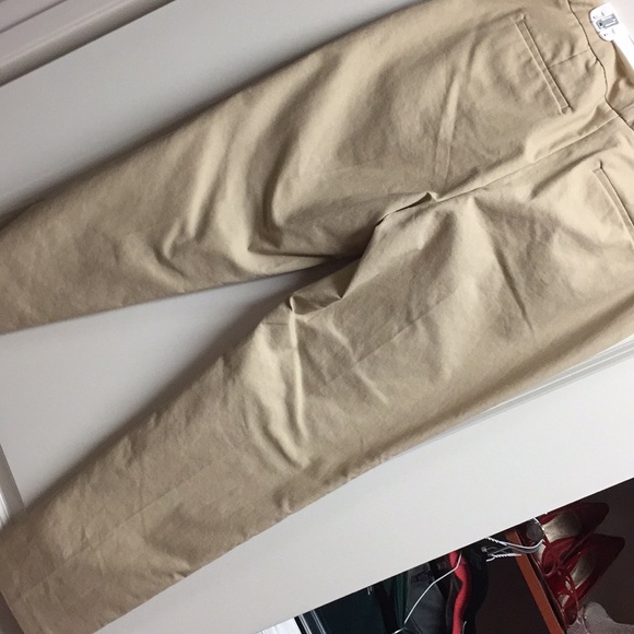 Capris - Picture 3 of 3